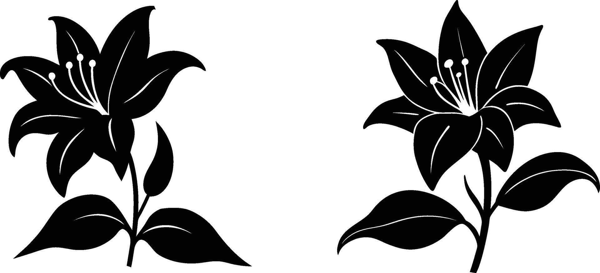 A Set Of Black silhouette of Lily illustration vector