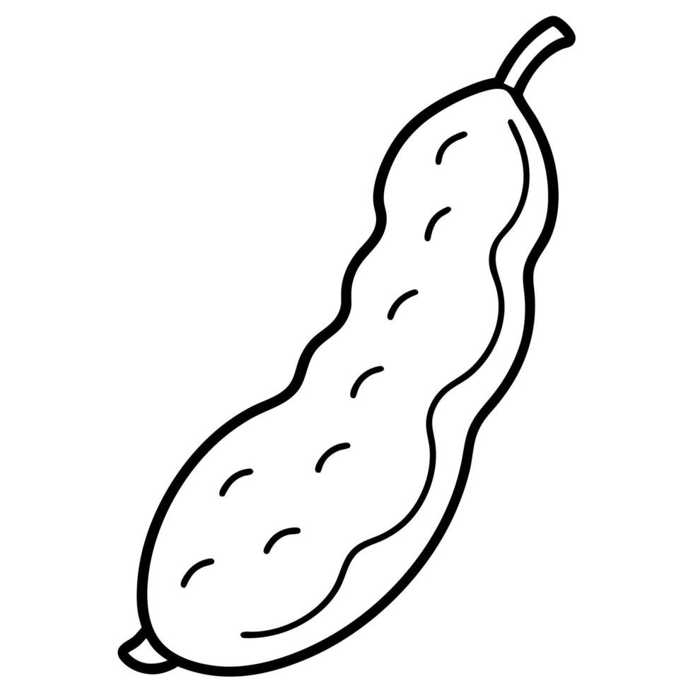 Coloring page line art Tamarind vector