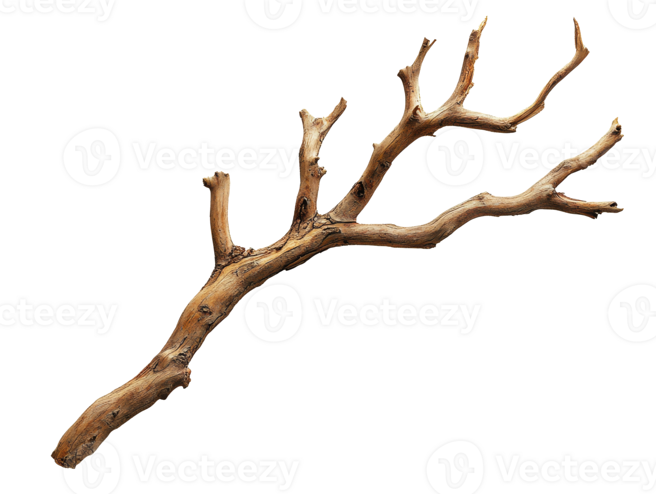 A natural wooden branch lies on a plain background png