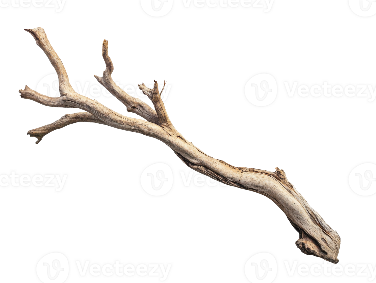 Natural driftwood with unique shape and texture png