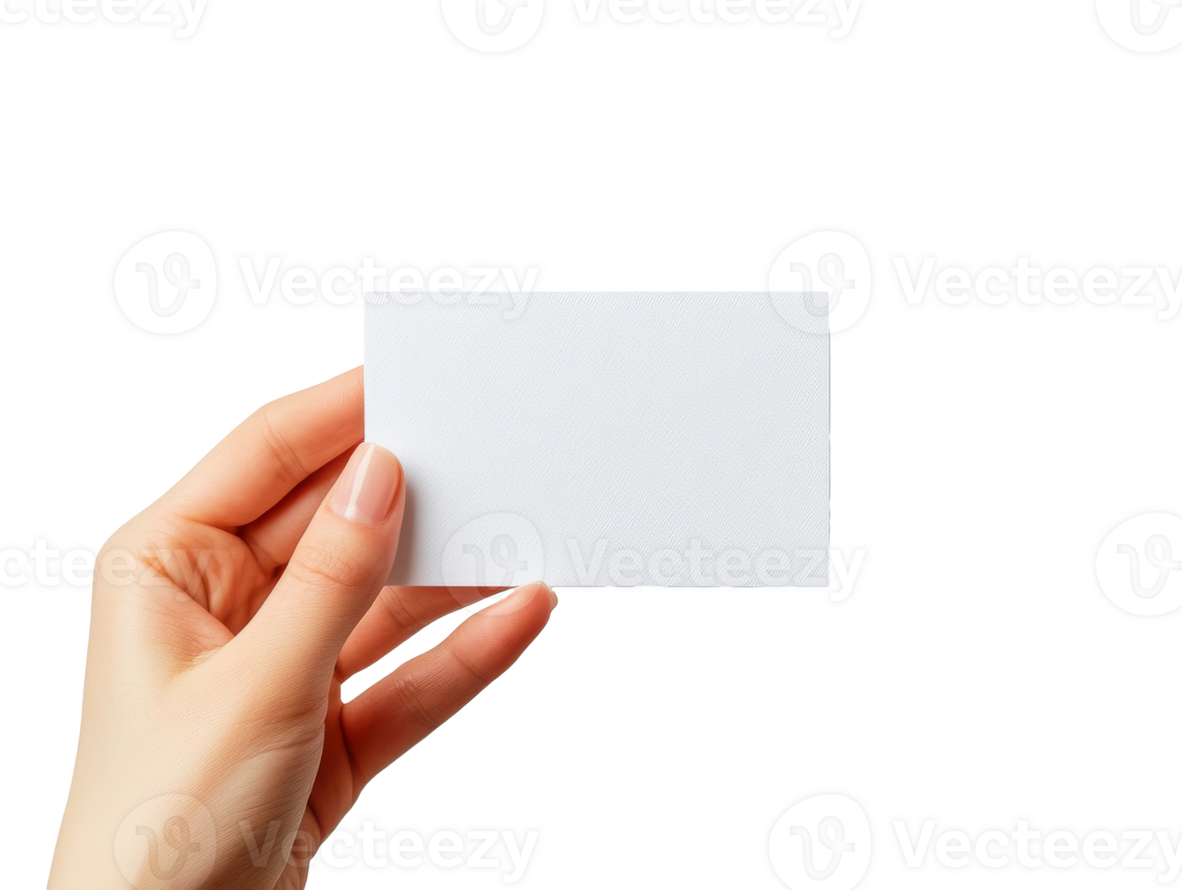 Blank card held in hand against white background png