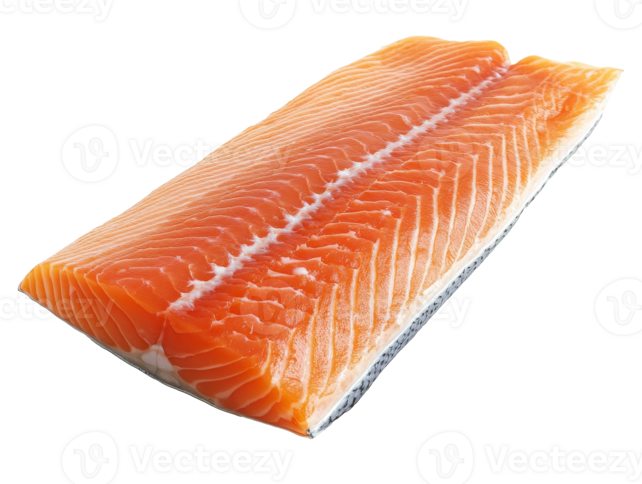 Fresh salmon fillet ready for cooking or grilling png