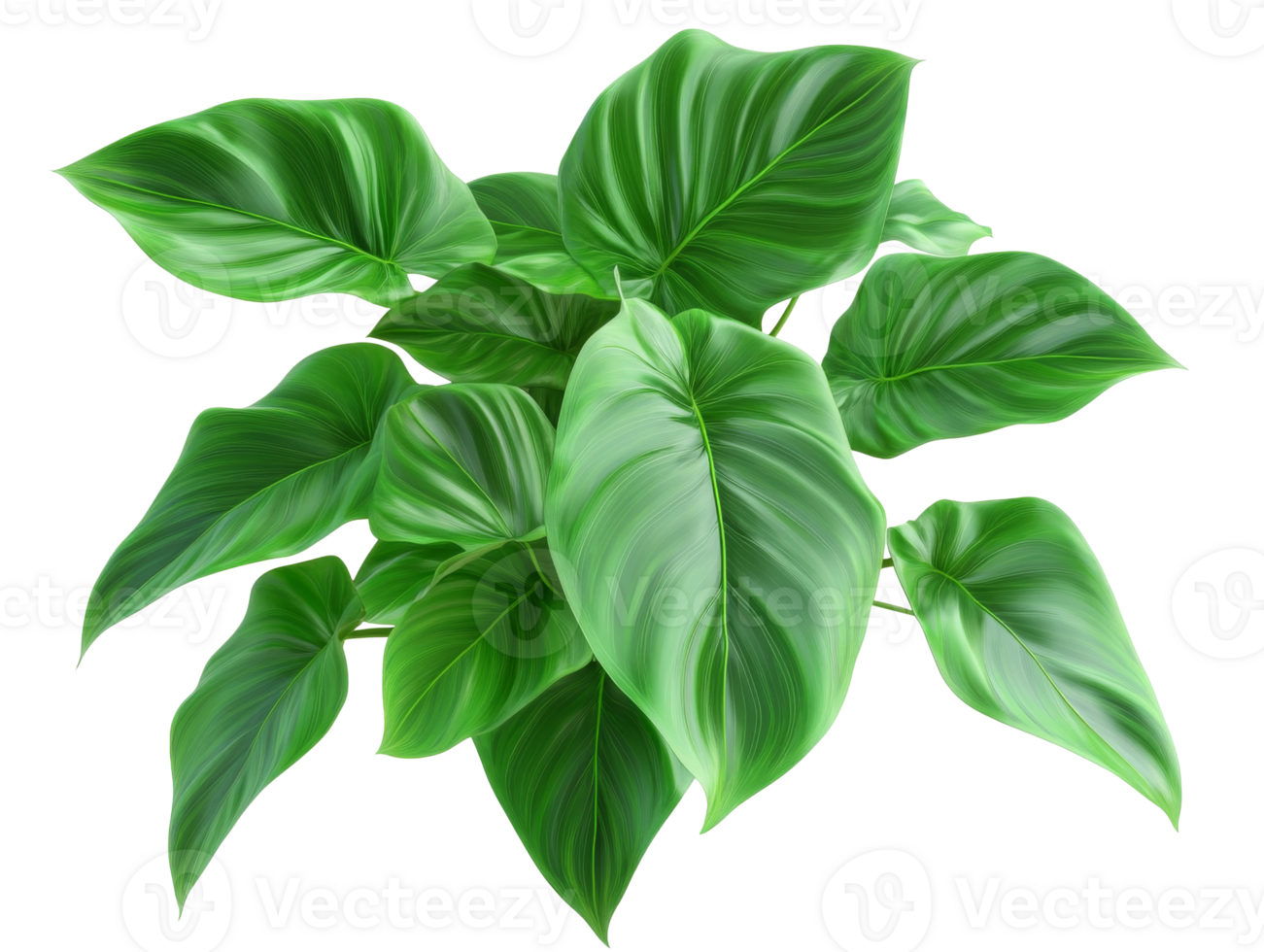 Vibrant green leaves in a bright setting png