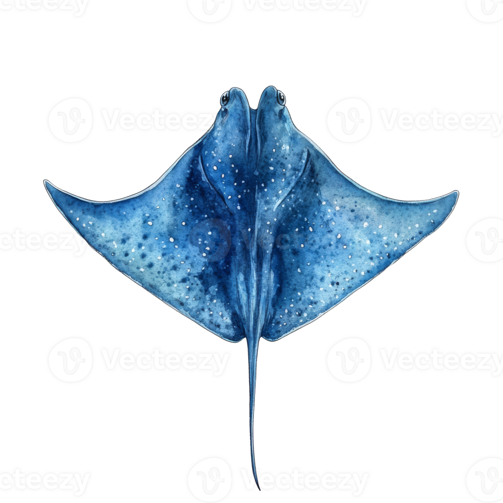 Blue stingray in watercolor swim png