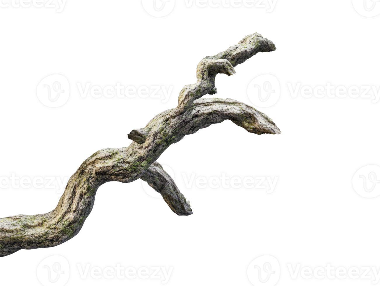Twisted branch with natural textures and details png