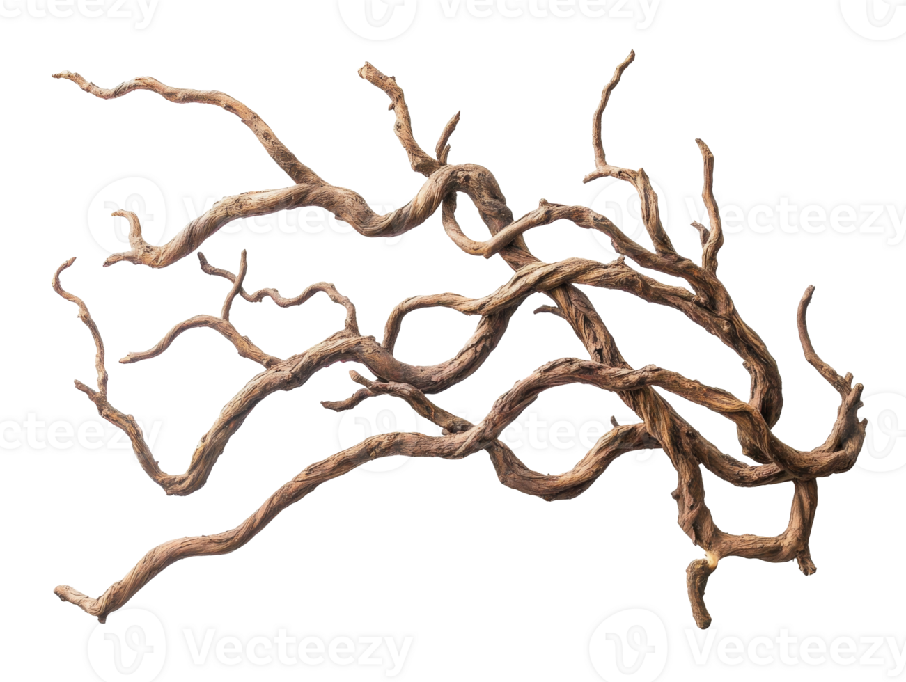 Unique twisted wood perfect for aquarium decor png