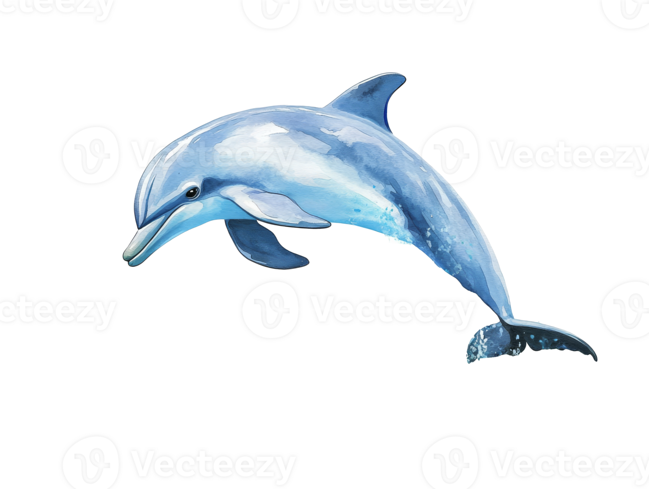 Dolphin jumps gracefully out of the water png