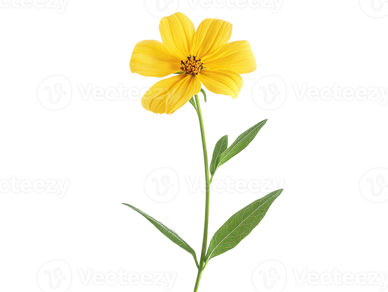 Bright yellow flower with green leaves in sunlight png