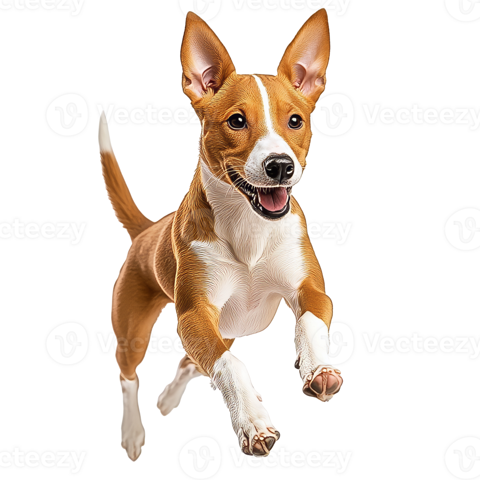 Happy dog jumping with joy in a playful moment png