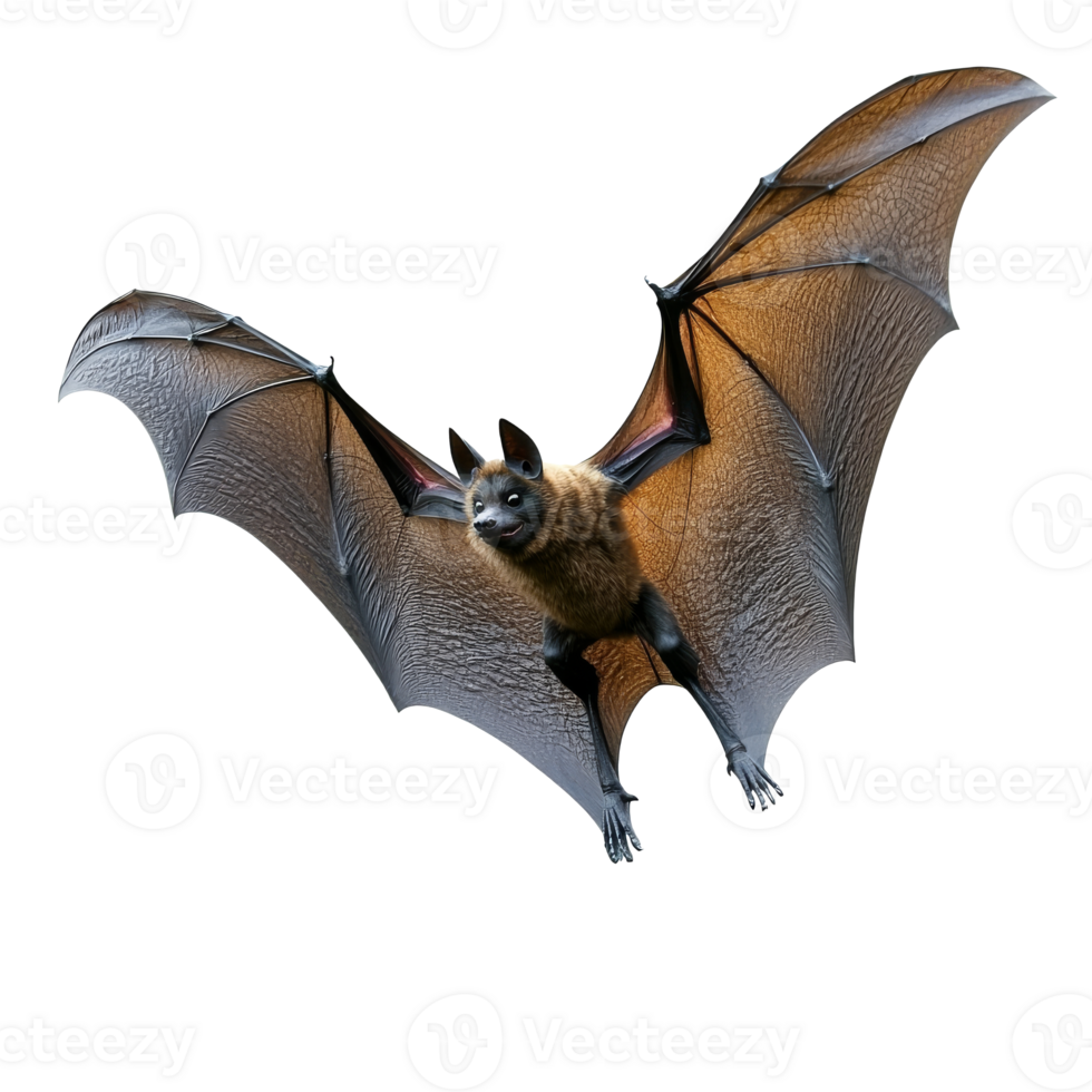 Bat in flight showcasing its wings and features png