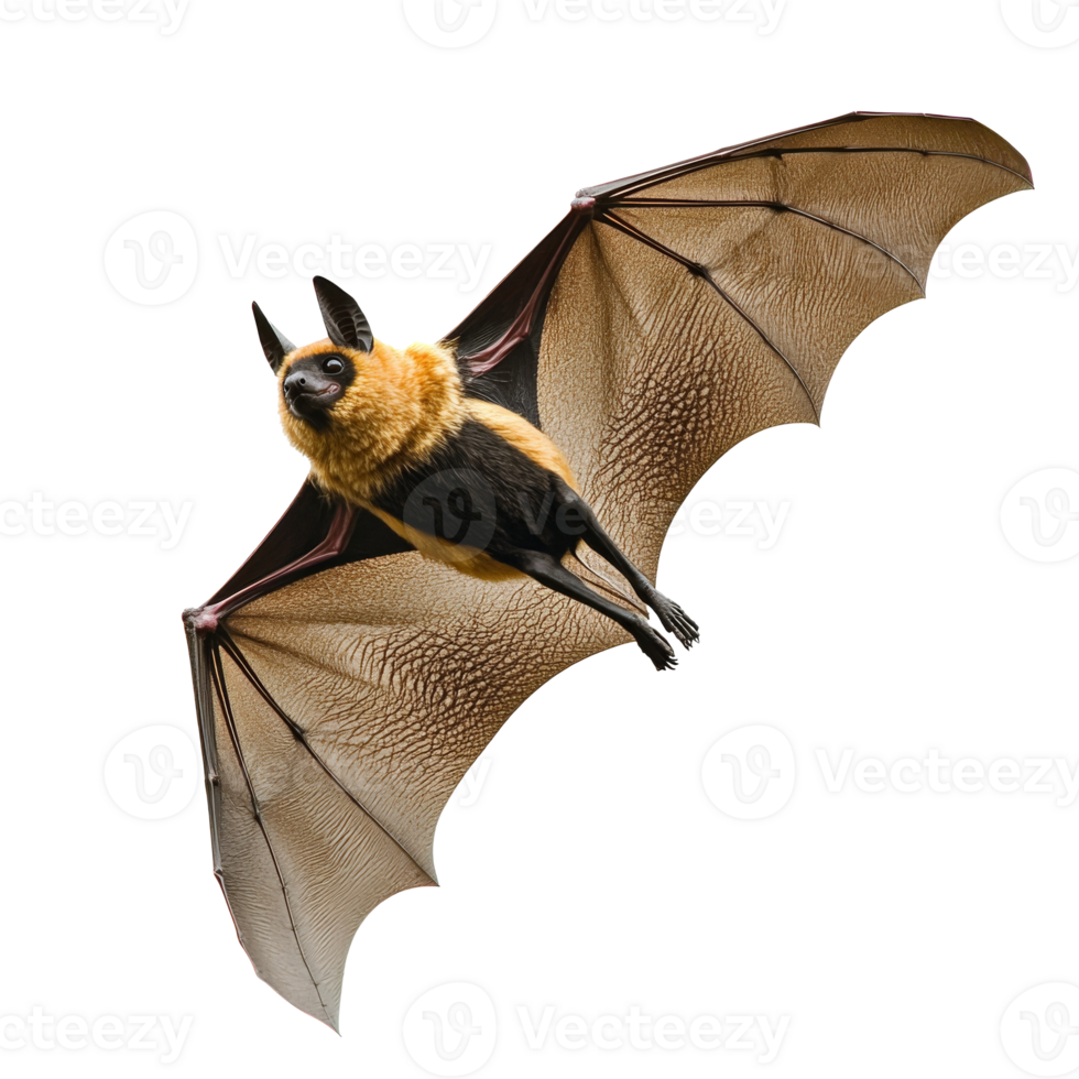 Bats navigating through the night sky in flight png
