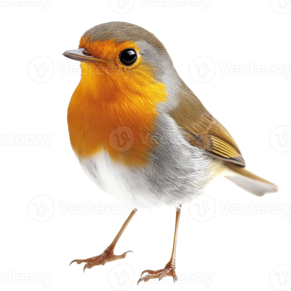 Bright little bird perched on a branch in nature png
