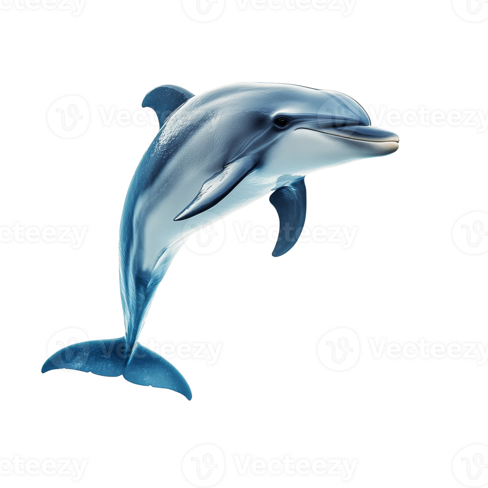 Dolphin swimming gracefully in the ocean waters png