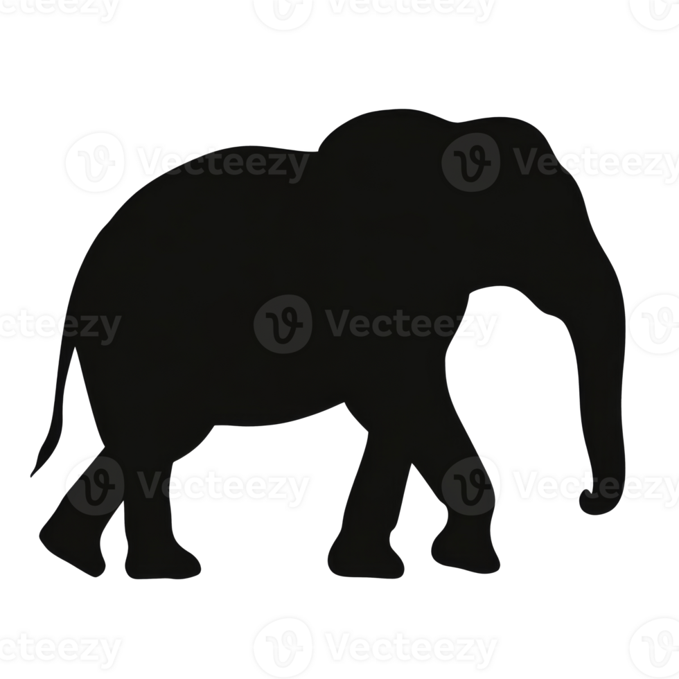 Elephant walking gracefully in a natural setting png