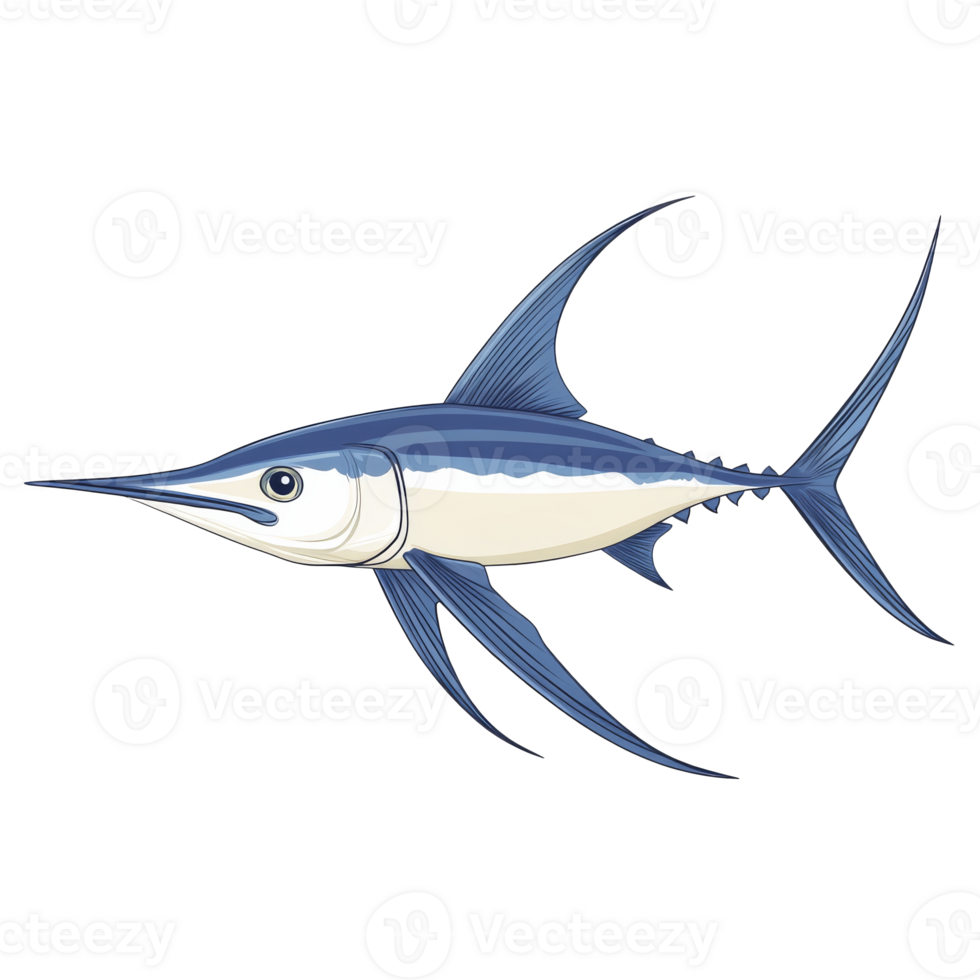 Swordfish swimming in ocean waters png