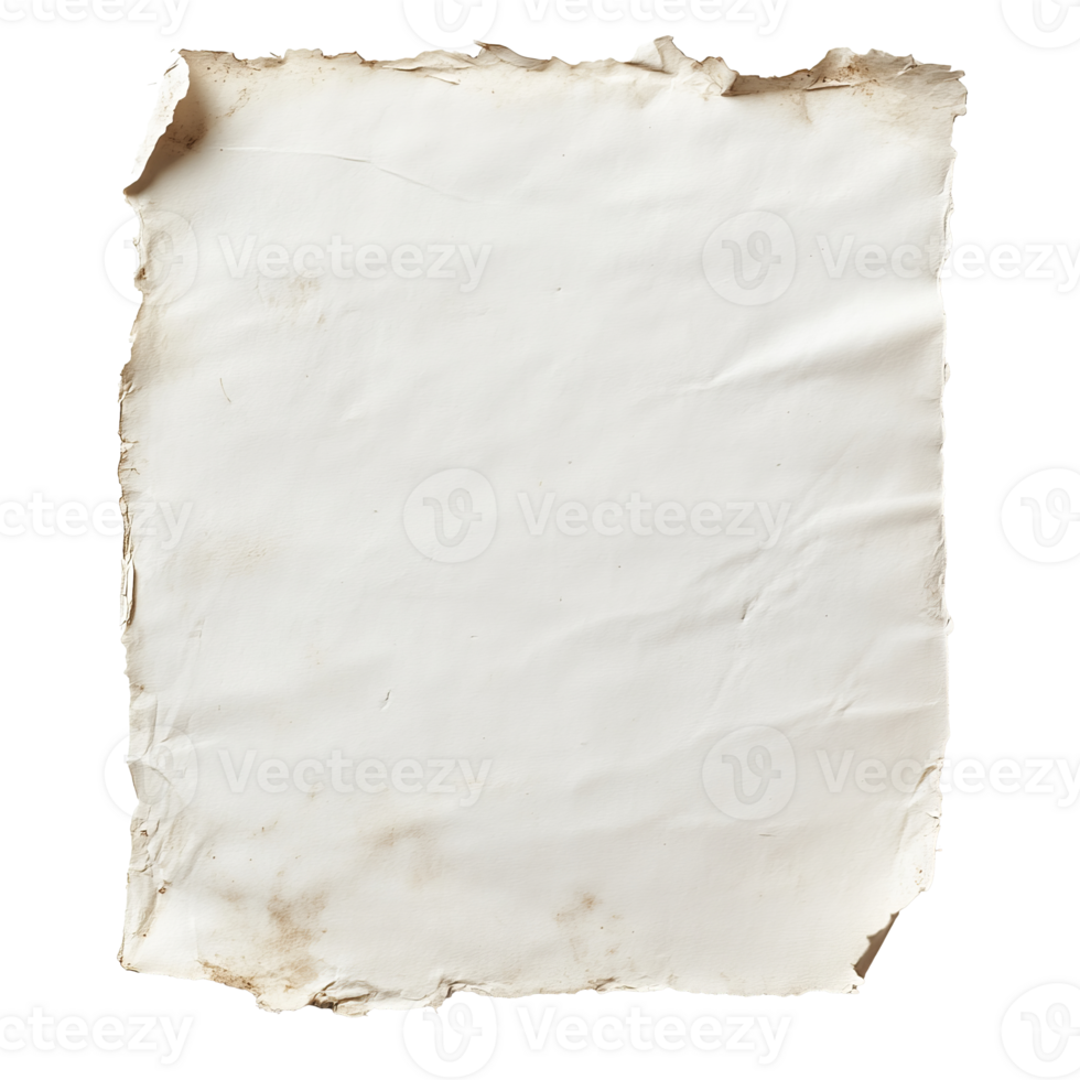 Blank aged paper with irregular edges and texture png