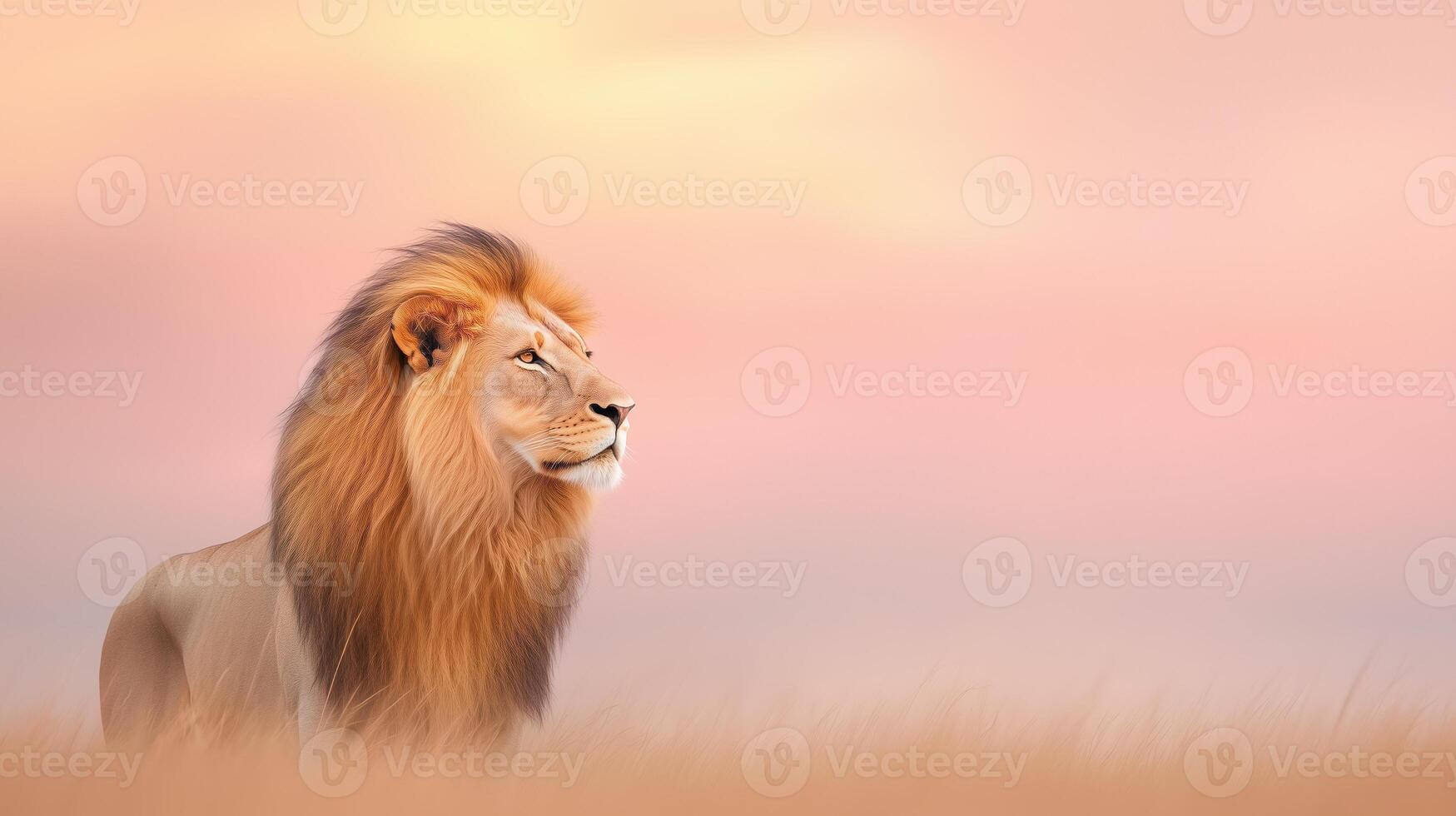 Majestic Lion with Golden Mane Standing in the Tranquil Savannah at Dawn Under a Soft Pink Sky, Wild Beauty in Nature Captured at Sunrise, Highlighting the Regal Stature and Serene Surroundings photo