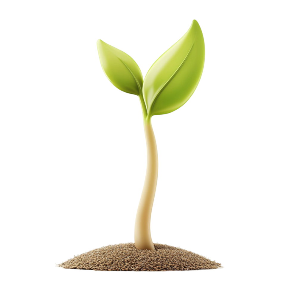 Green Plant Sprouting from the Ground on Transparent Background png