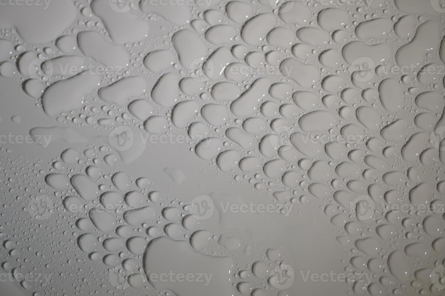 close up of water droplets on white background, macro, shallow depth of field, water drops photo
