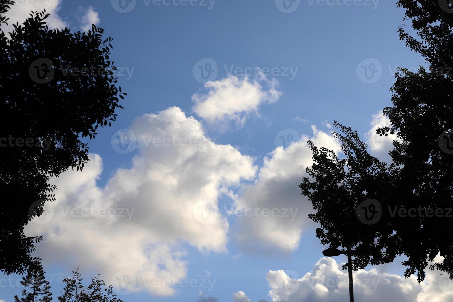 white clouds are floating across the sky photo