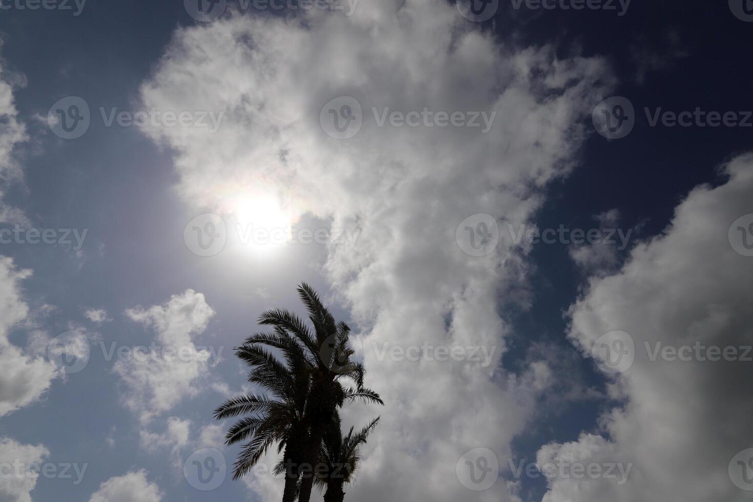 white clouds are floating across the sky photo