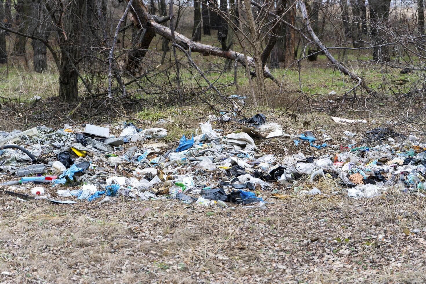 There is a lot of garbage in the forest. The concept of human pollution of forests and nature. A terrible dump in the woods. photo