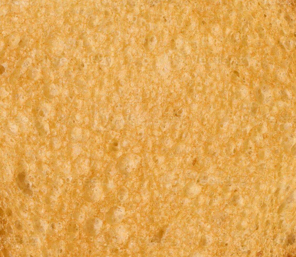 Texture of a piece of bread made of white wheat flour, toast bread photo