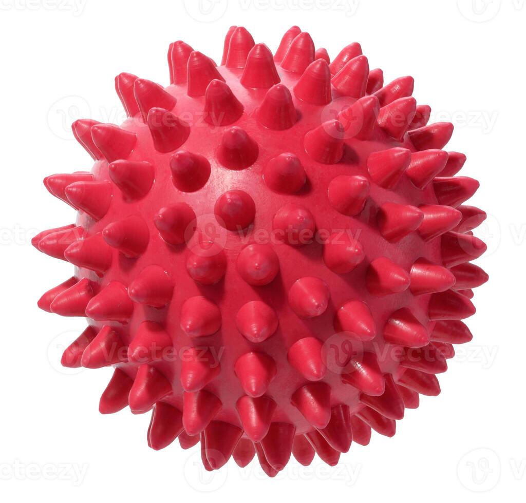 red rubber ball with spikes on an isolated background. Dog toy photo