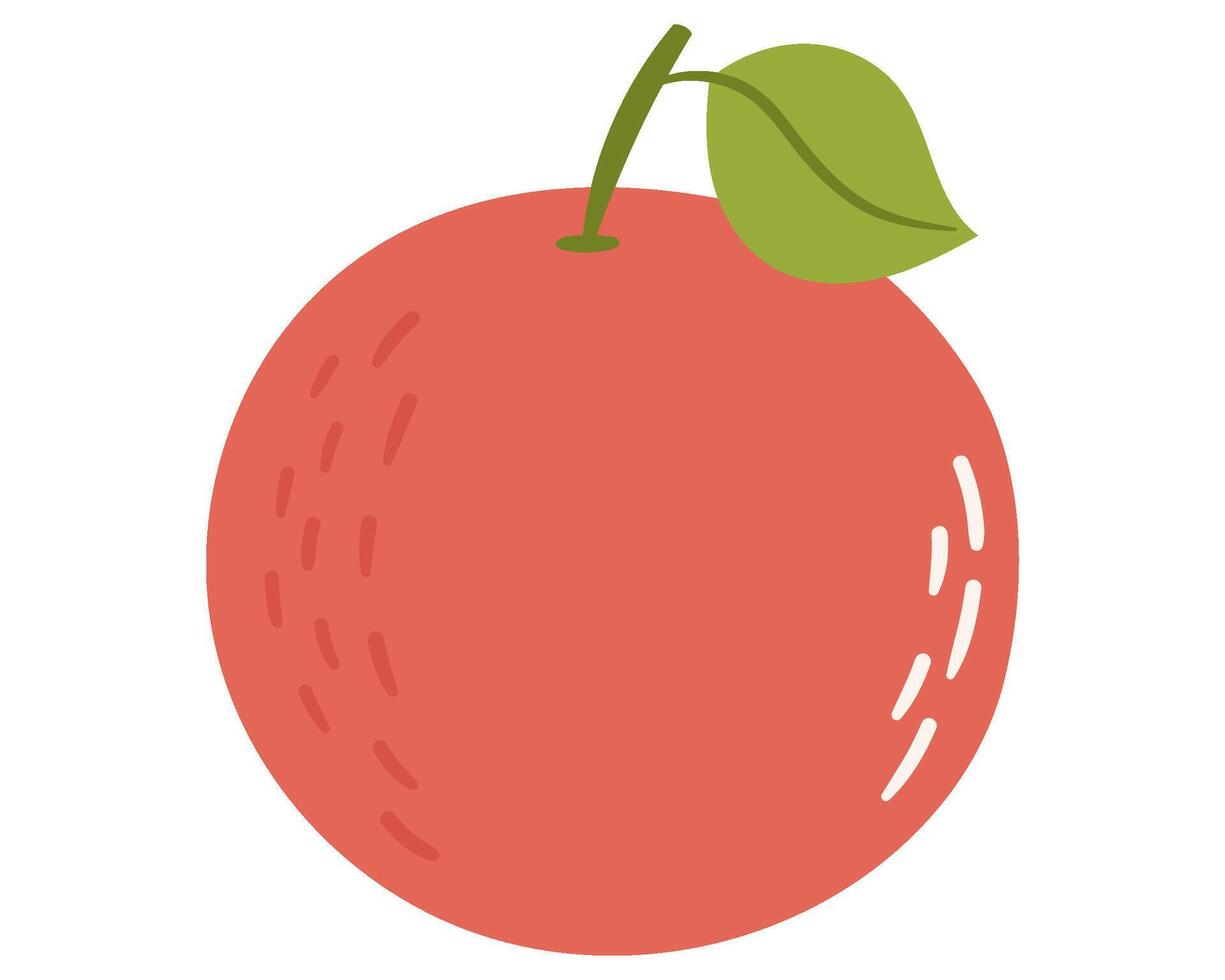 Fruit grapefruit in cartoon hand drawn simple style. Editable variable color vector