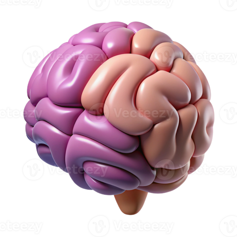 3D Rendered Human Brain Model png