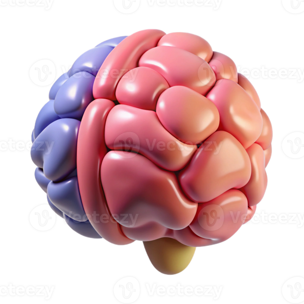 3D Rendered Colorful Brain Illustration png