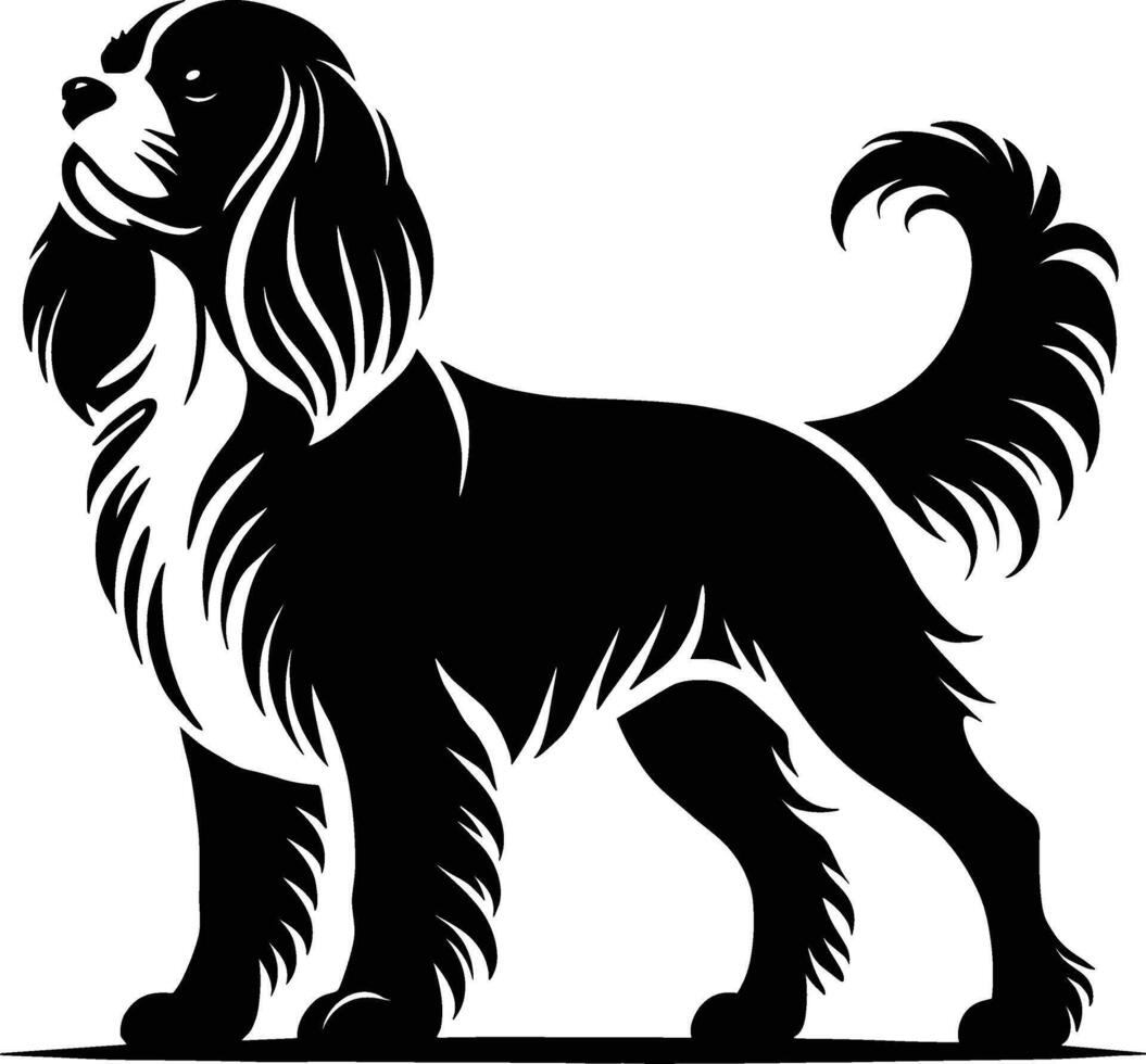 Cavalier King Charles Spaniel Standing vector