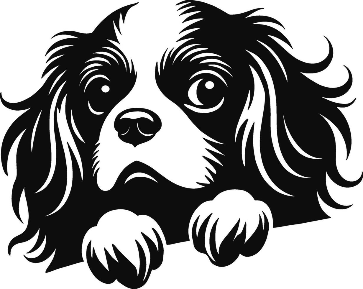 Cavalier King Charles Spaniel Peeking vector