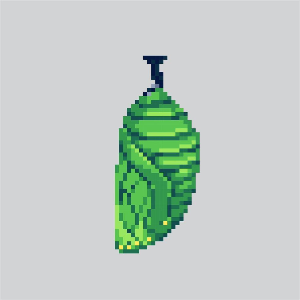 Pixel art illustration Cocoon. Pixelated Butterfly Cocoon. Butterfly Cocoon Insect Icon pixelated for the pixel art game and icon for website and game. old school retro. vector