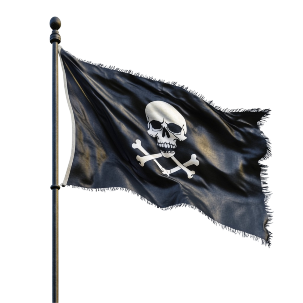 Pirate Flag on Transparent Background png