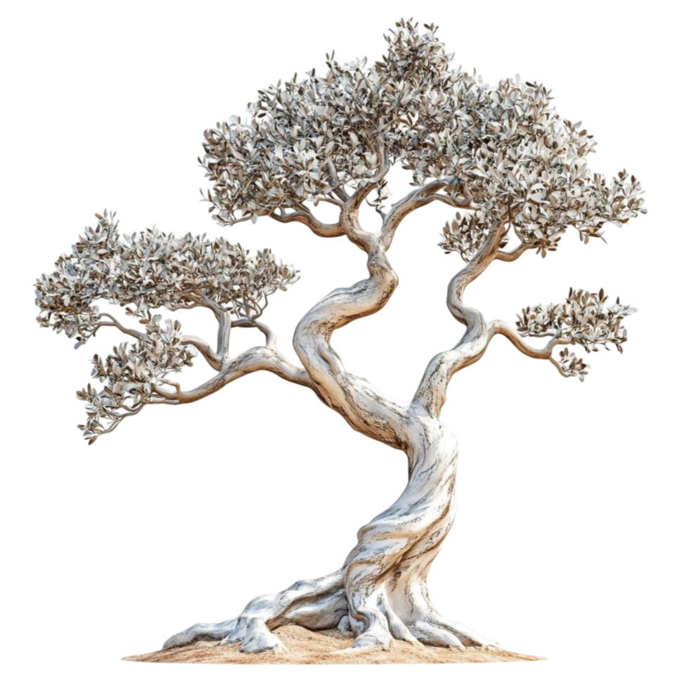 Artistic Tree with Twisted Branches png