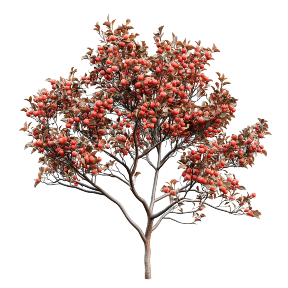 Tree with Vibrant Red Leaves png
