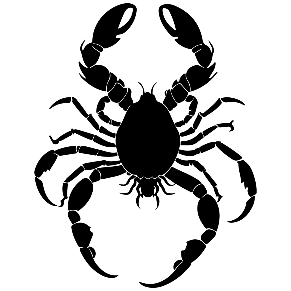 Stylish Scorpion Minimalist Design png