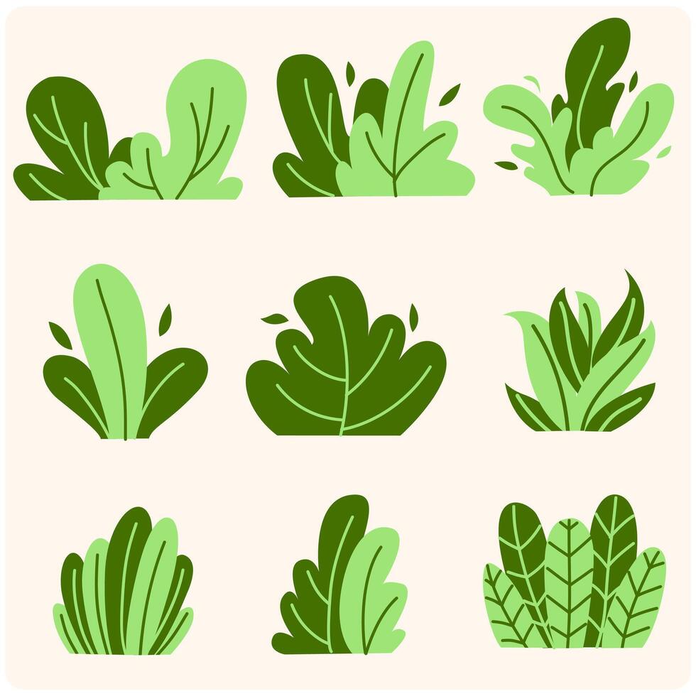 Set of bush illustration on a cream background vector