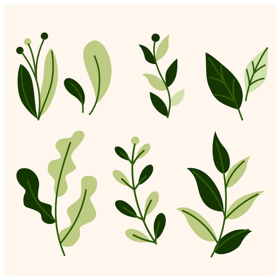 Lush green leaves with background cream vector