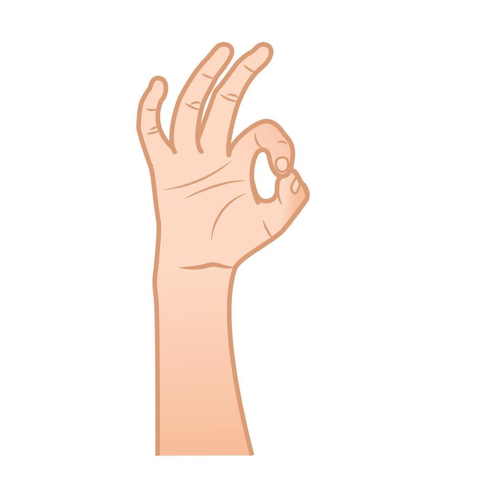 OK hand gesture illustration vector