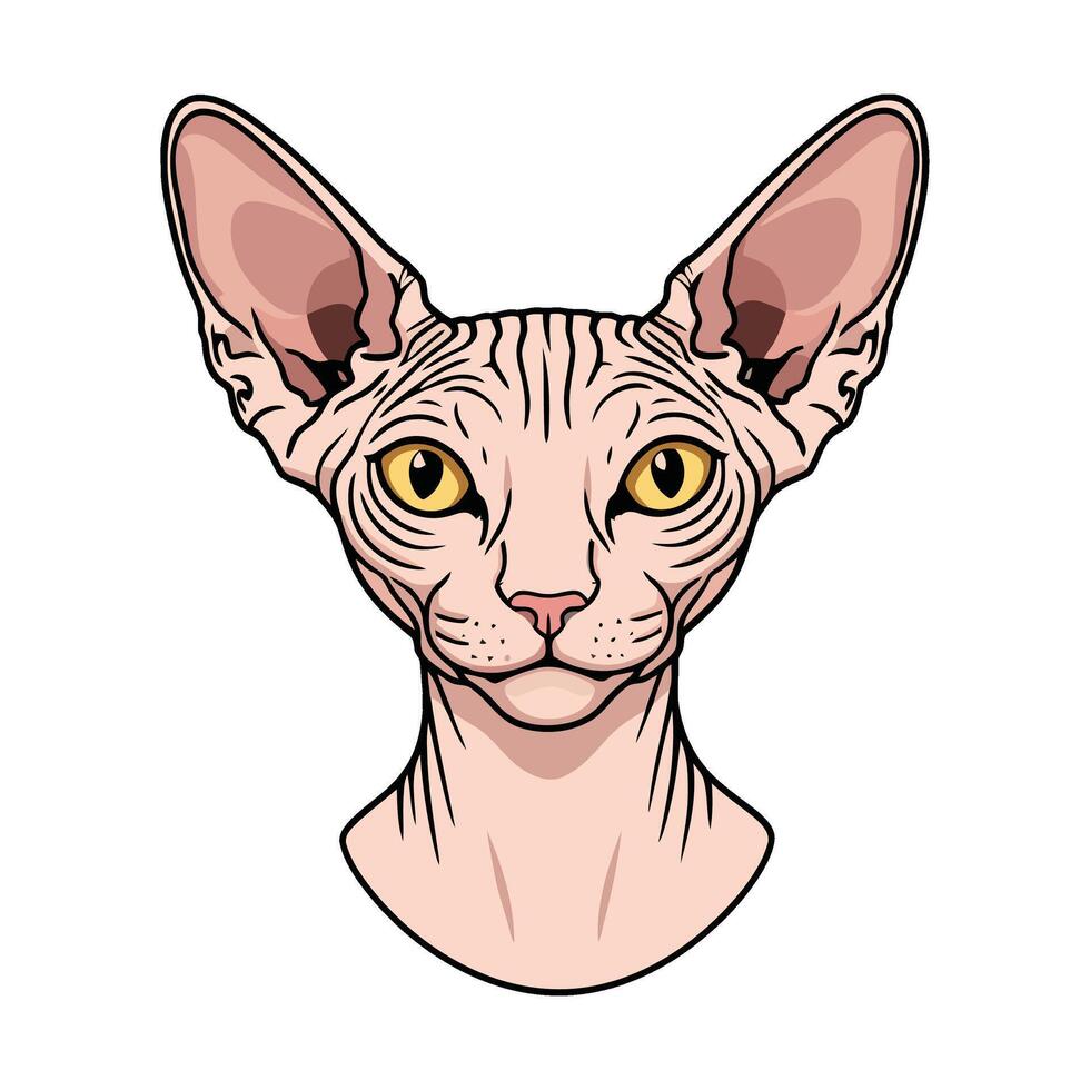 illustration of a sphytte cat head vector