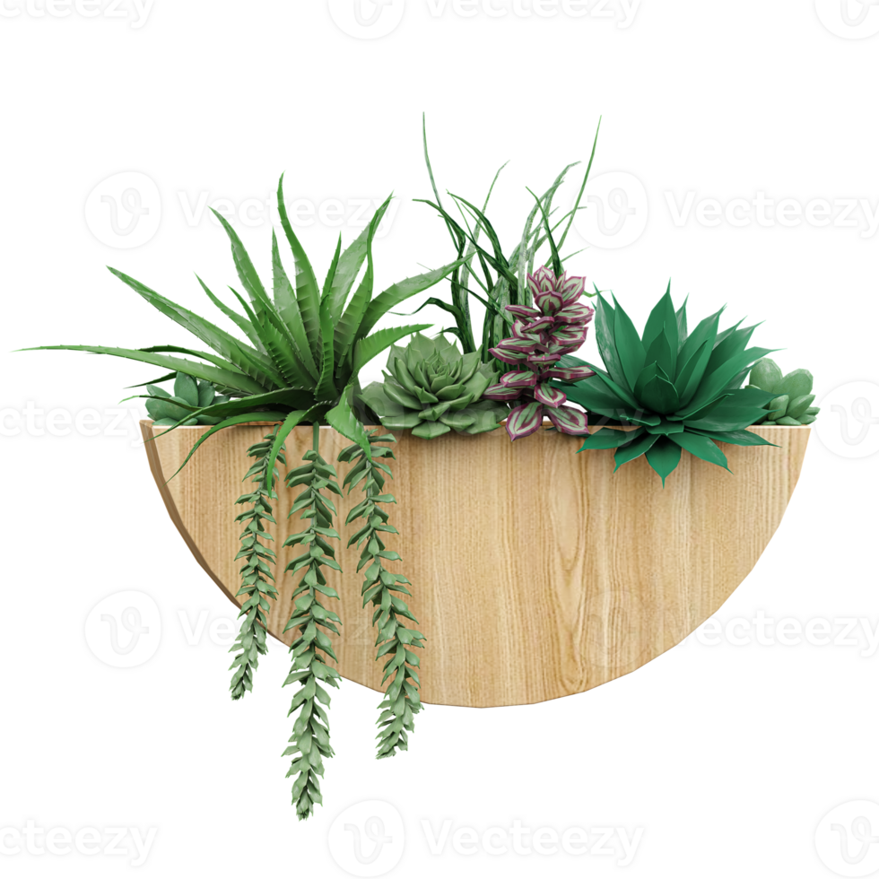 3d illustration of indoor hanging plant in wall planter isolated on transparent canvas png