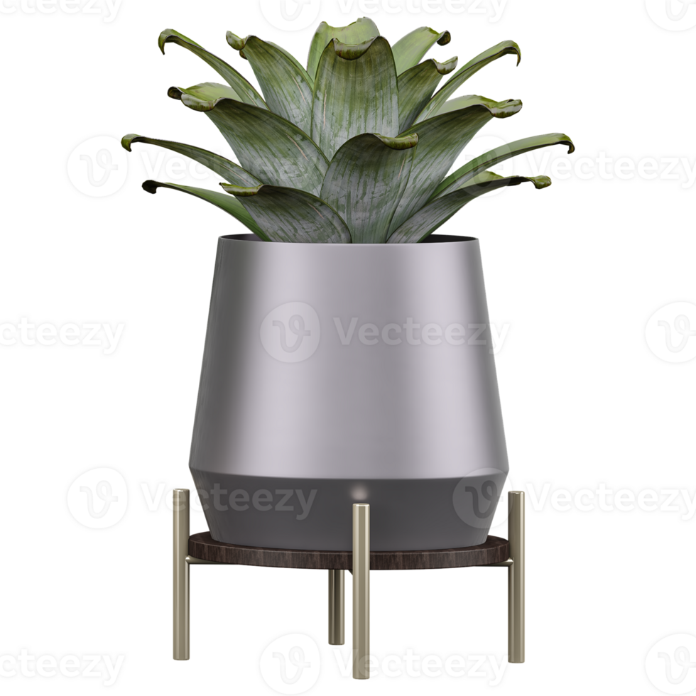3d Rendering Of Pineapple plant in planter on Transparent Canvas png