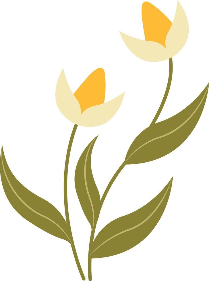 Easter lily spring illustration vector