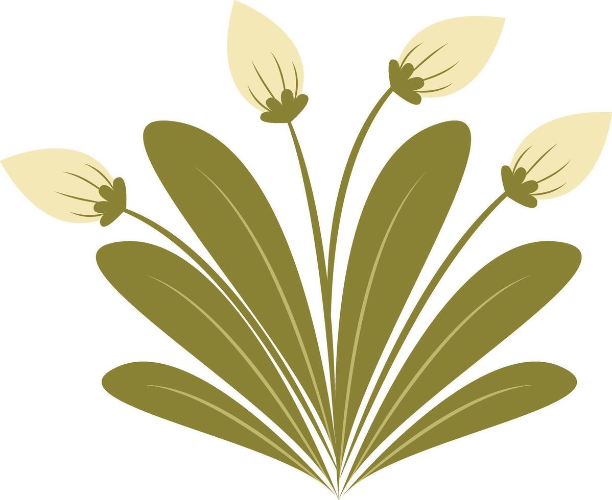 Easter lily spring illustration vector
