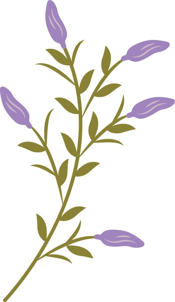 Violet Summer Flower Illustration vector