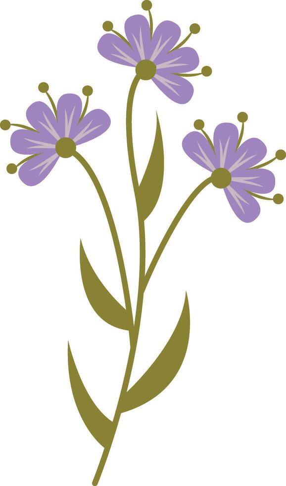 Violet Summer Flower Illustration vector