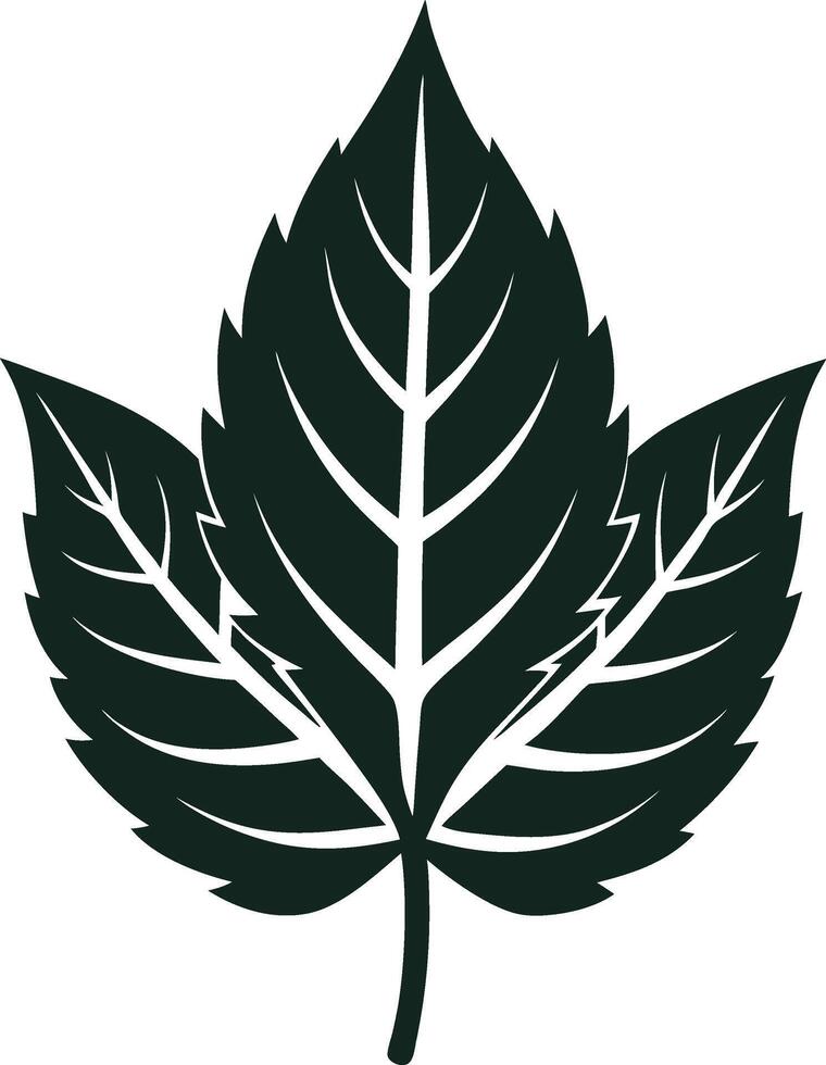 Botanical Black Silhouette vector