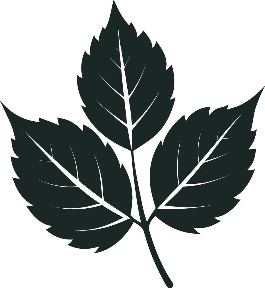 Graceful Leaf Silhouettes vector